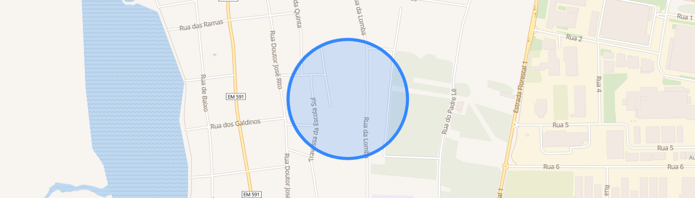 listing-map-picture