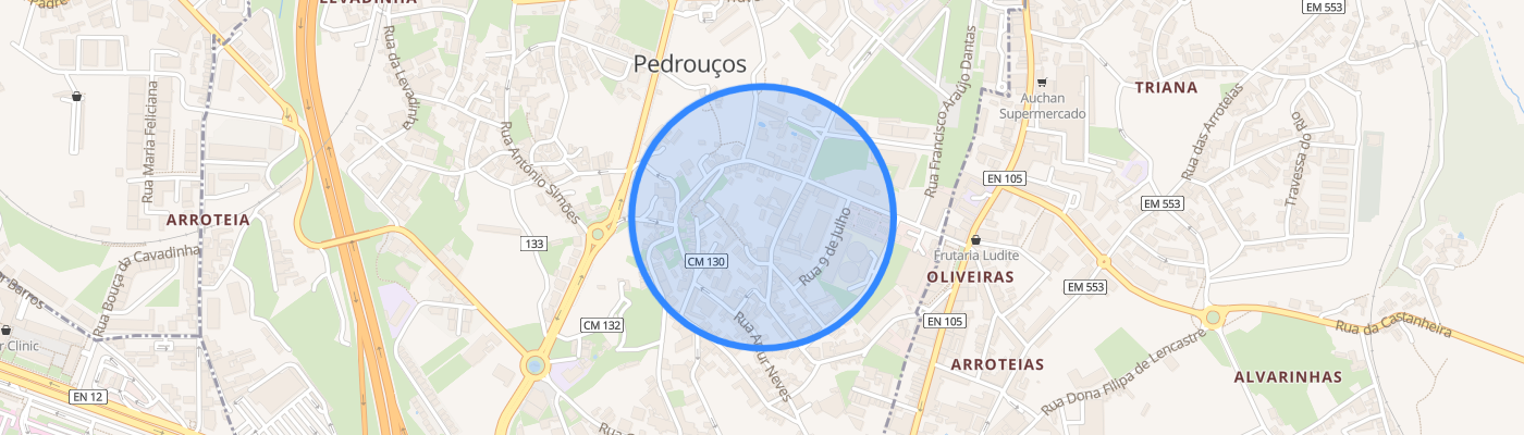 listing-map-picture