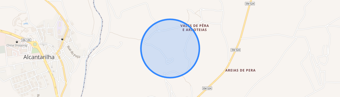 listing-map-picture