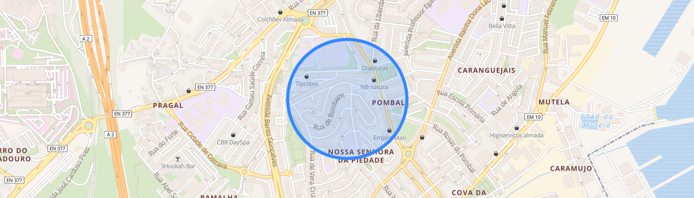 listing-map-picture