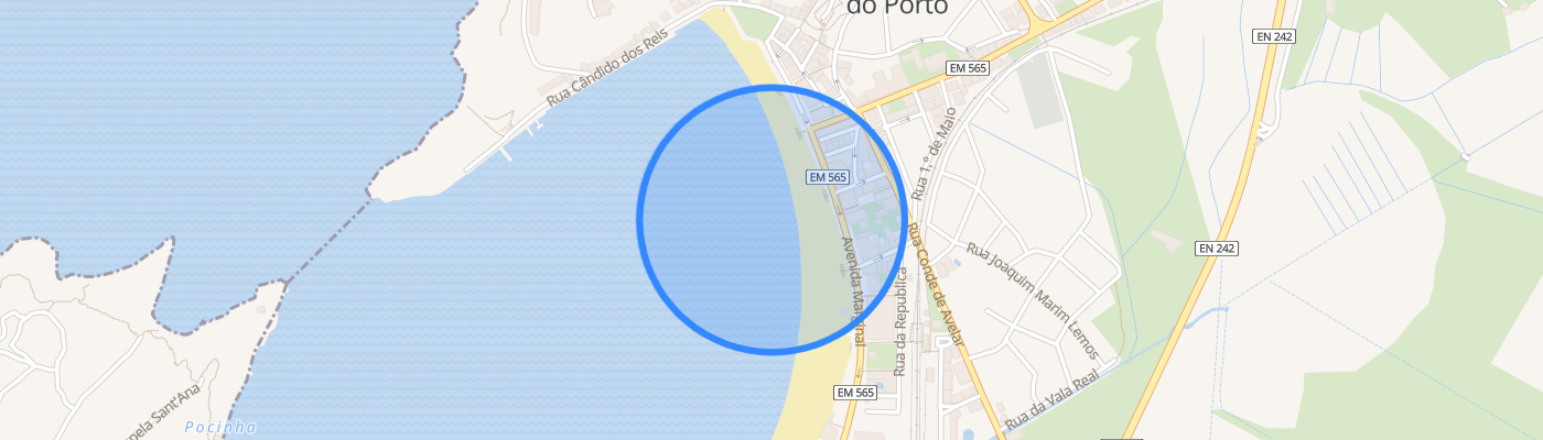listing-map-picture