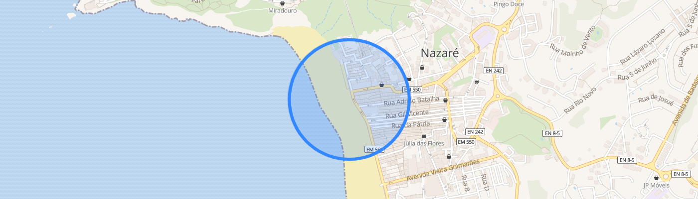 listing-map-picture