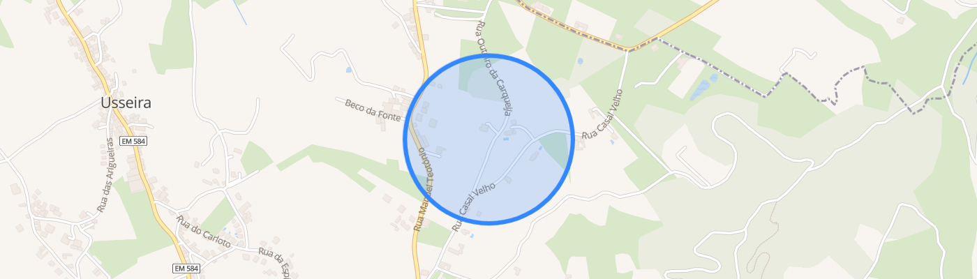 listing-map-picture