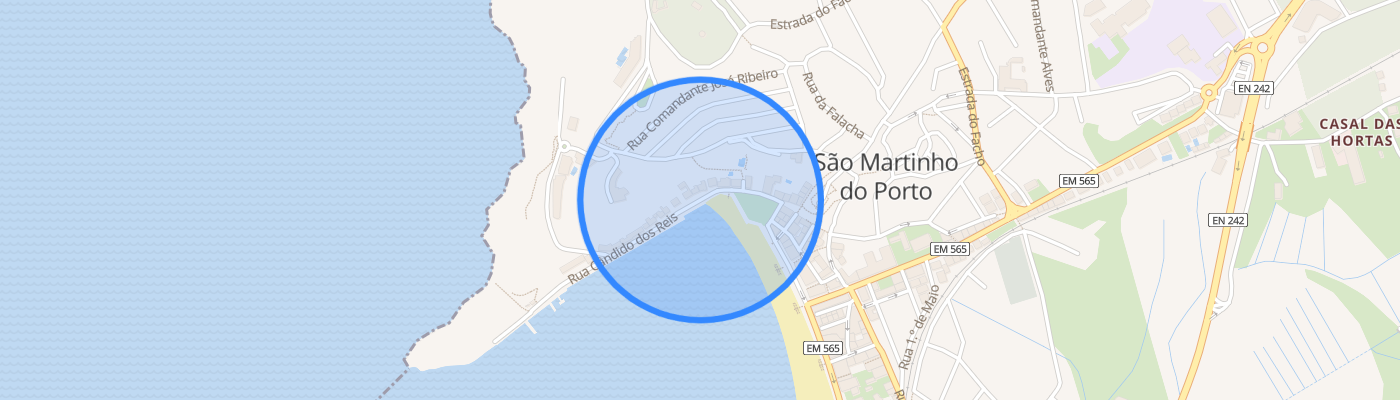 listing-map-picture