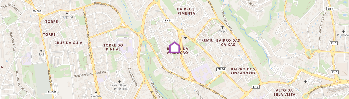 listing-map-picture