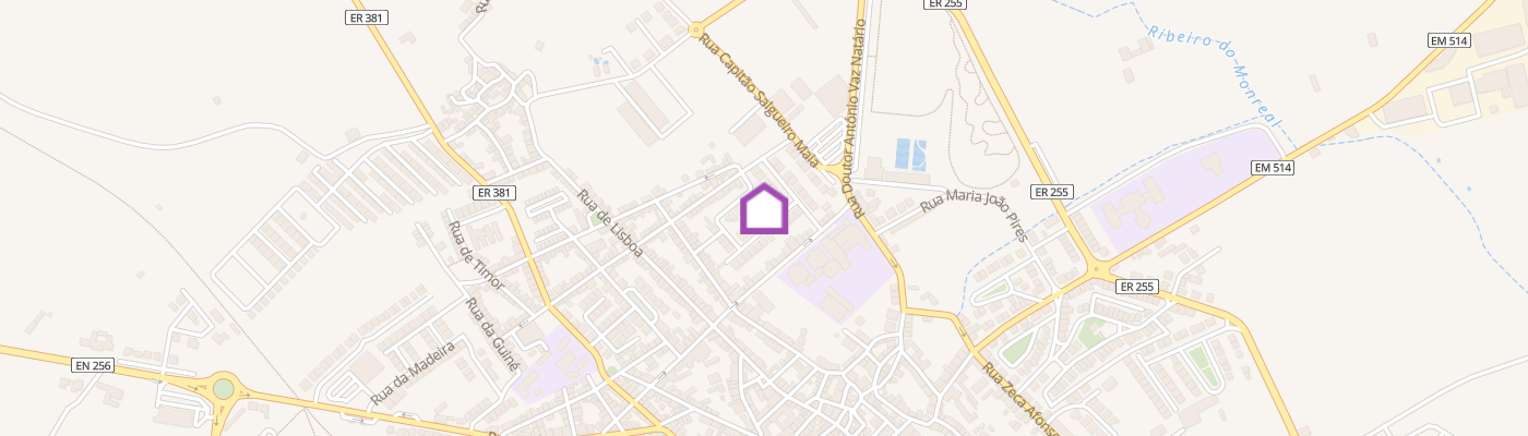 listing-map-picture