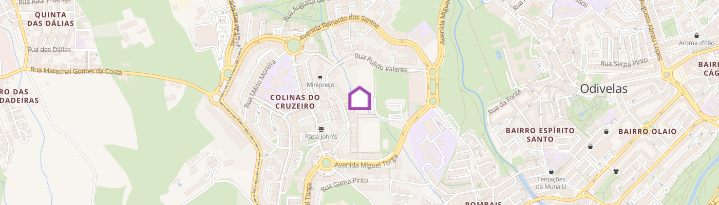 listing-map-picture