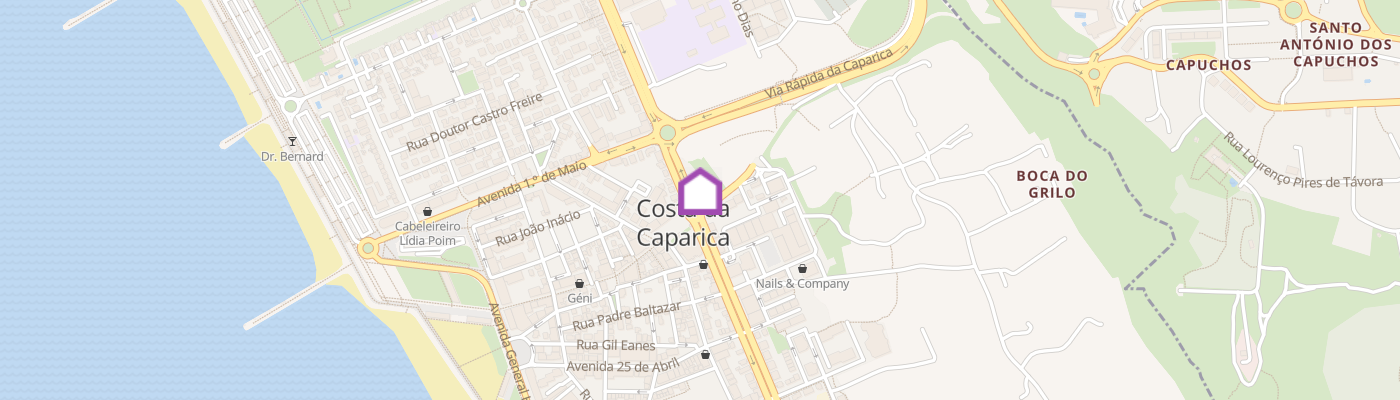 listing-map-picture