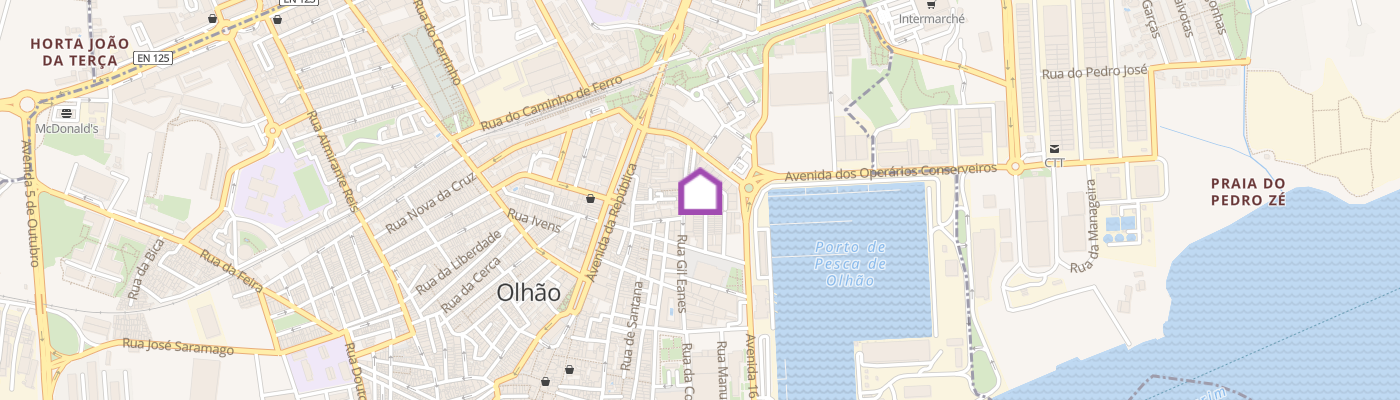 listing-map-picture