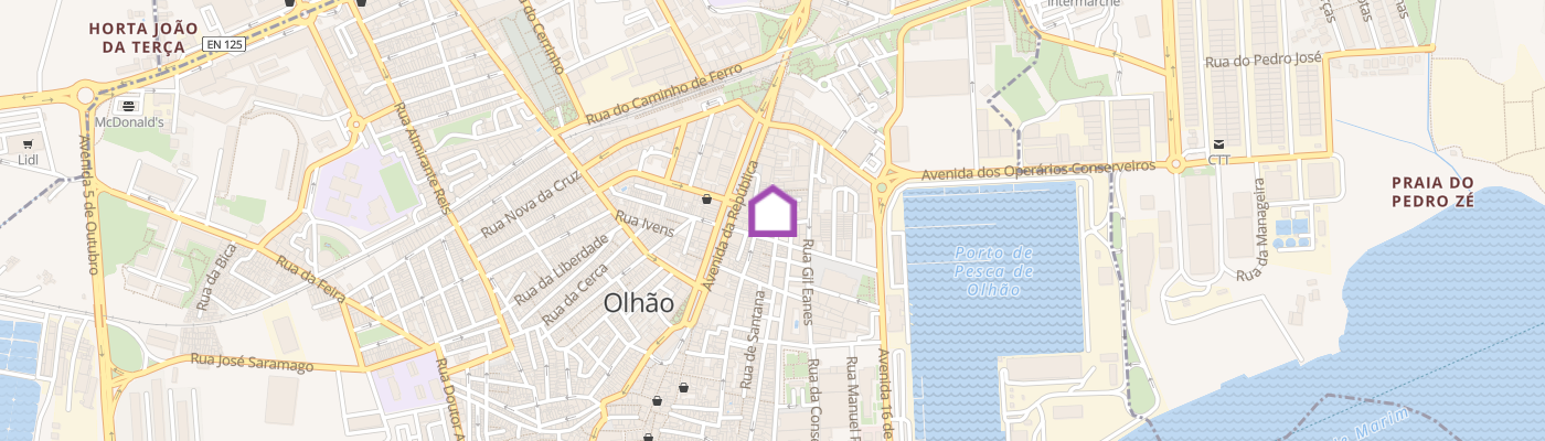 listing-map-picture