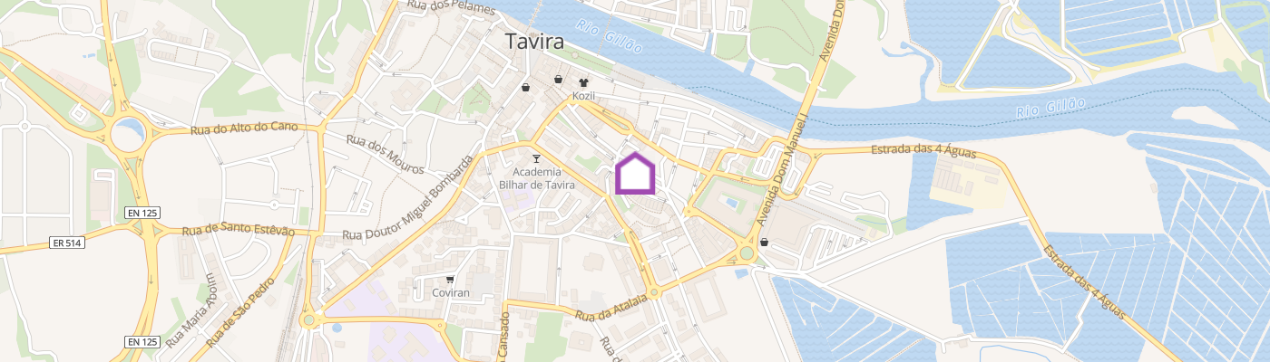 listing-map-picture