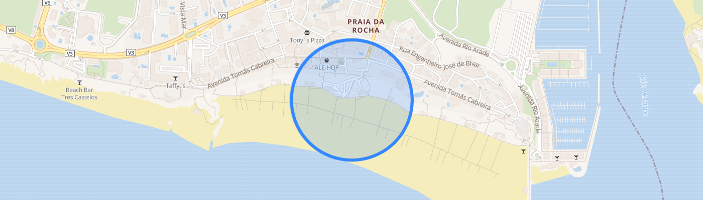 listing-map-picture
