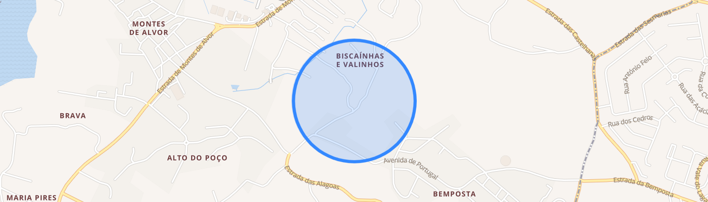 listing-map-picture