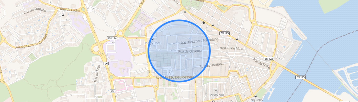 listing-map-picture