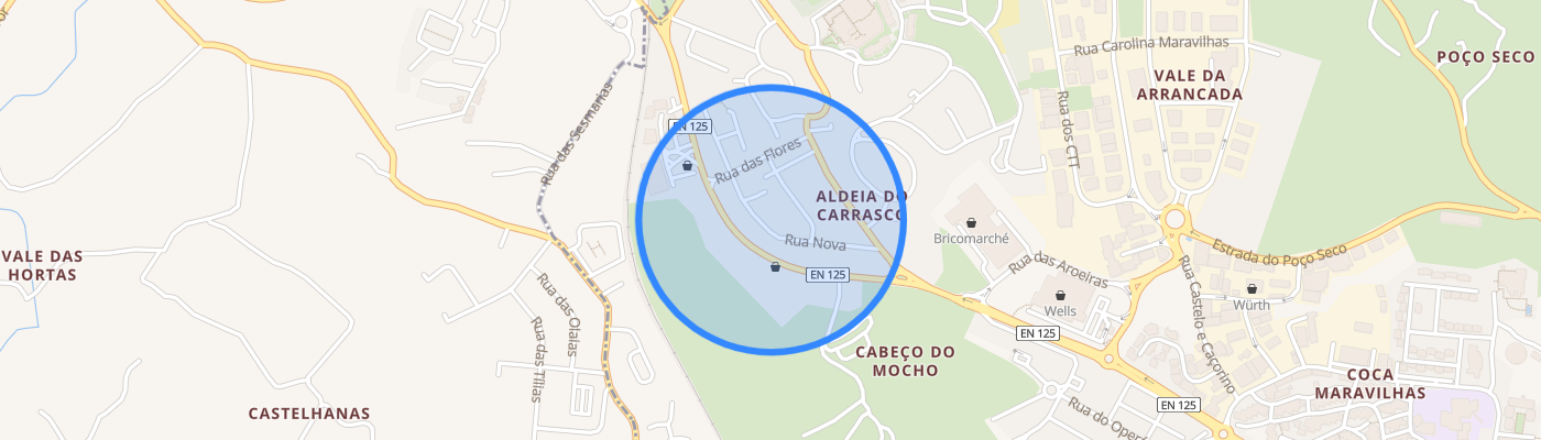 listing-map-picture