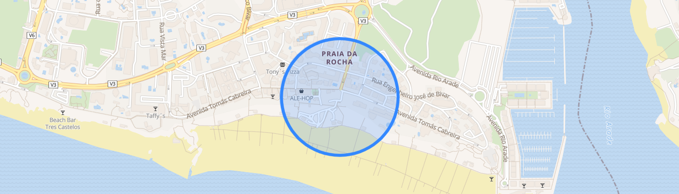 listing-map-picture