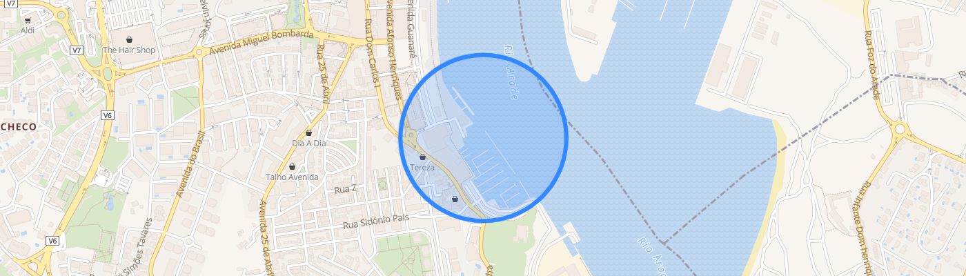 listing-map-picture