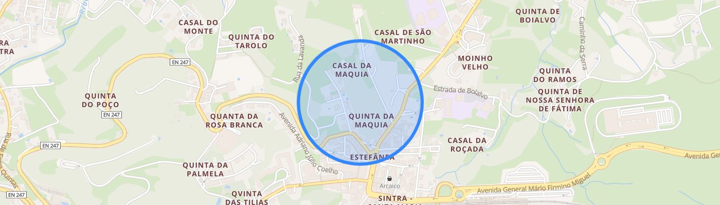 listing-map-picture