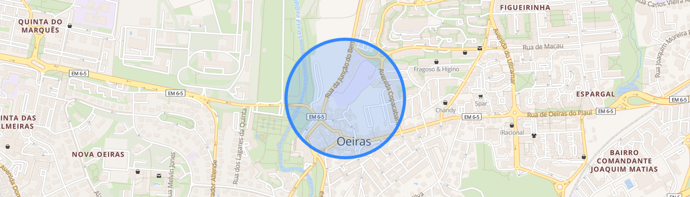 listing-map-picture