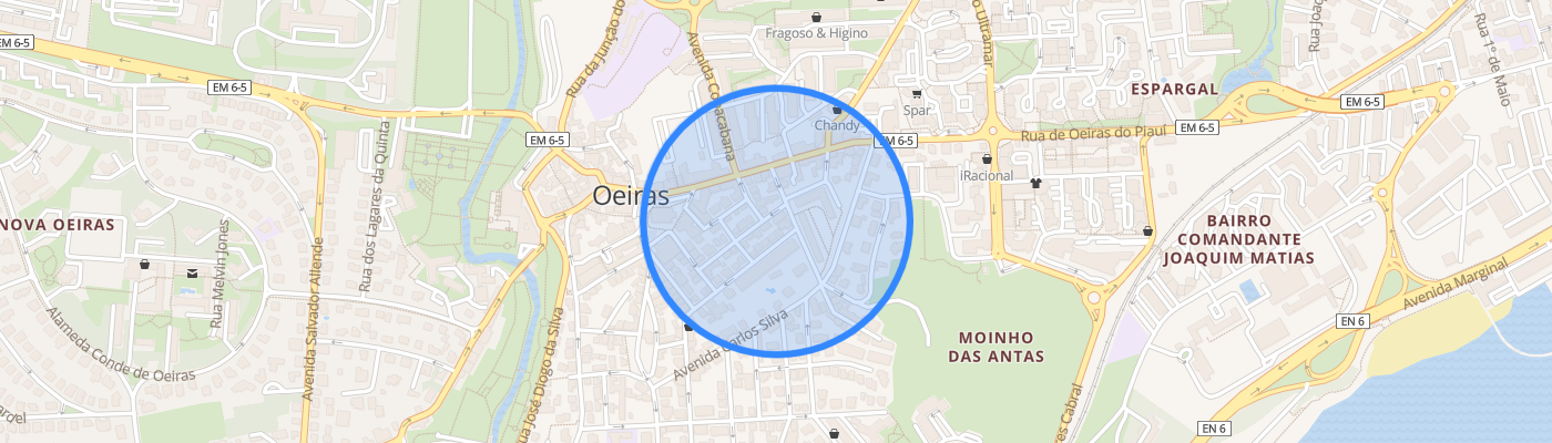 listing-map-picture