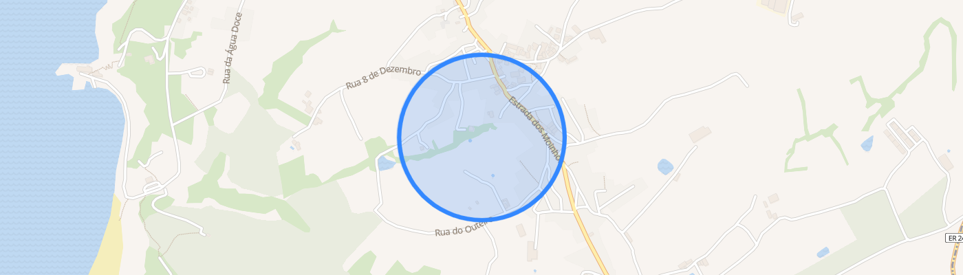 listing-map-picture