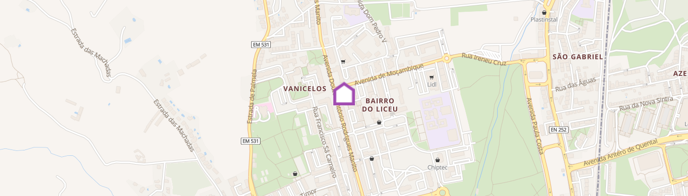 listing-map-picture