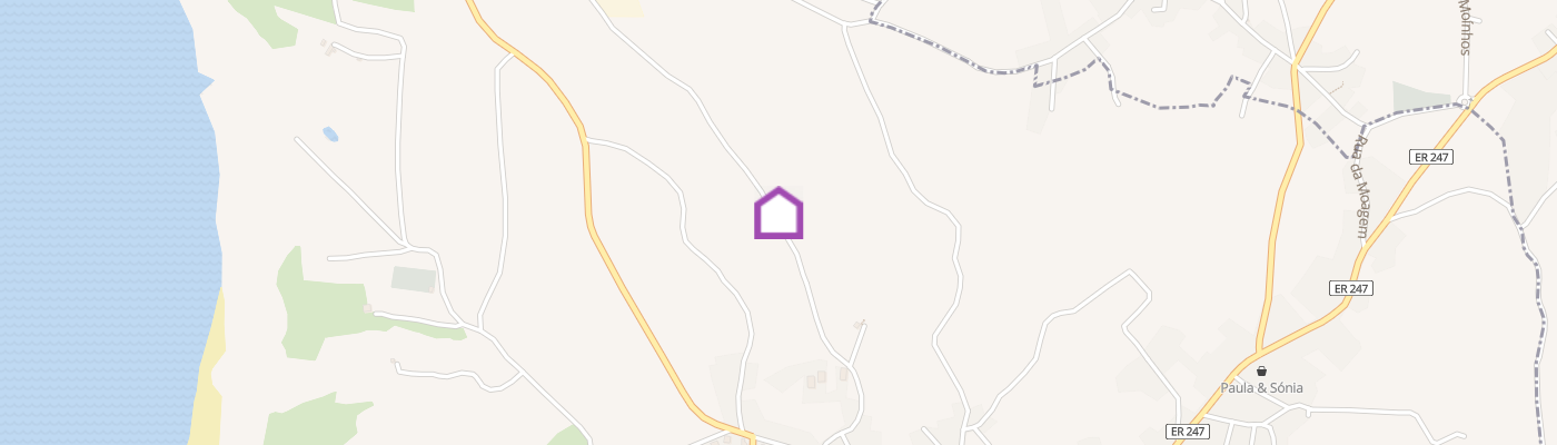 listing-map-picture