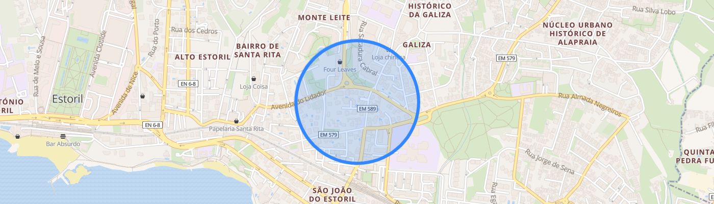 listing-map-picture
