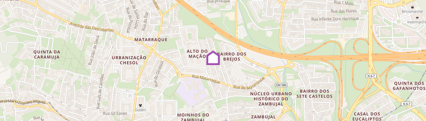 listing-map-picture