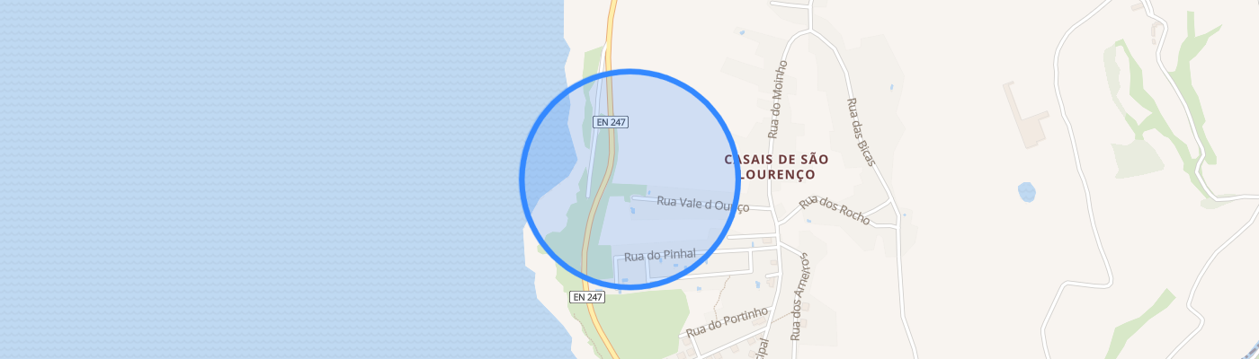 listing-map-picture