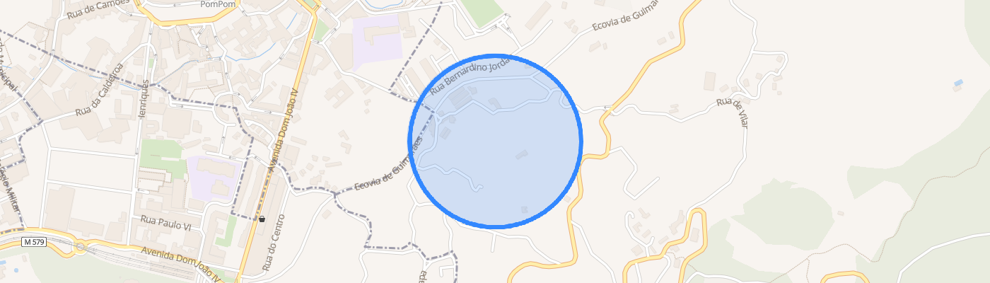 listing-map-picture