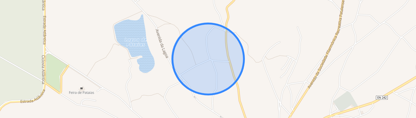 listing-map-picture