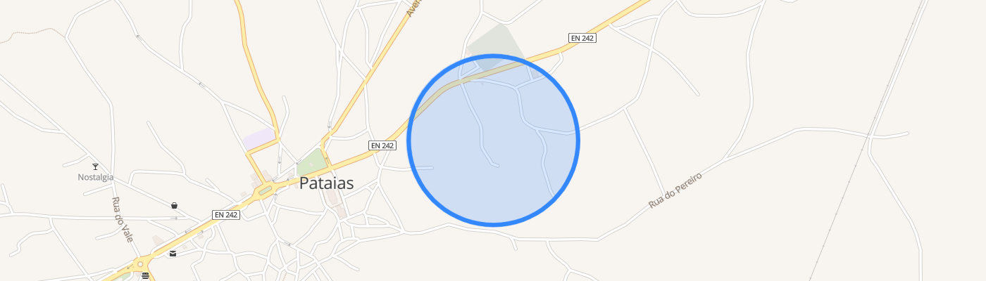 listing-map-picture