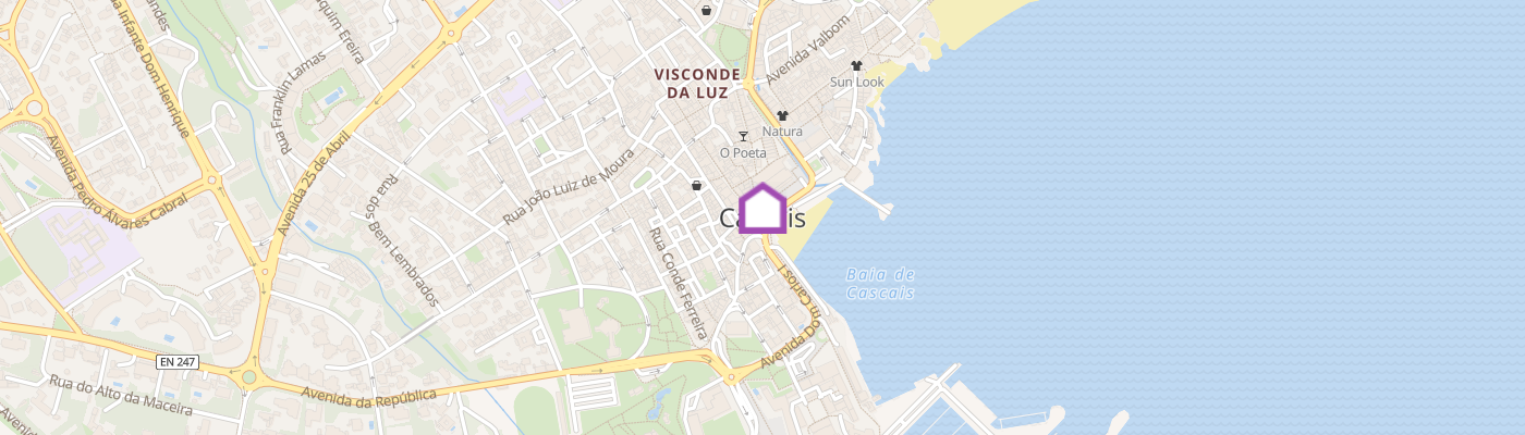 listing-map-picture
