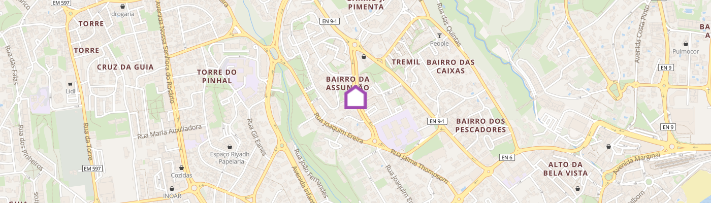 listing-map-picture