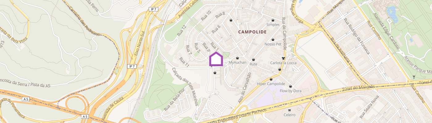 listing-map-picture