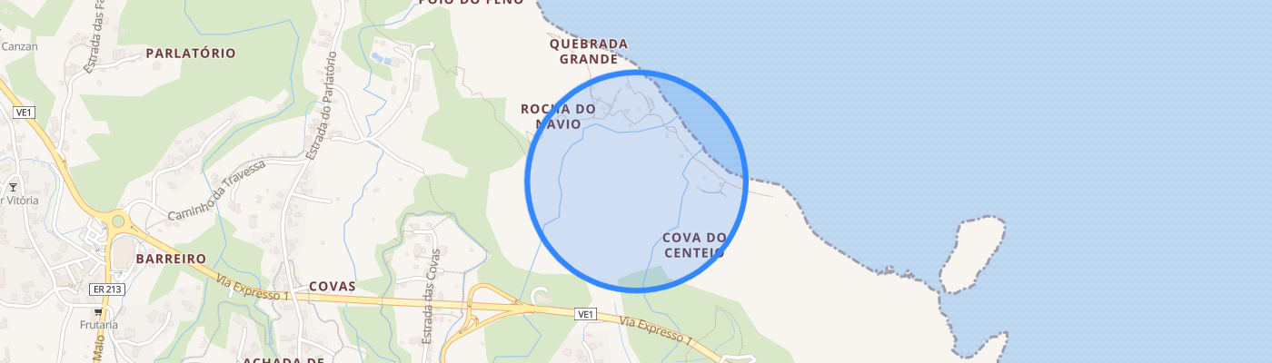 listing-map-picture