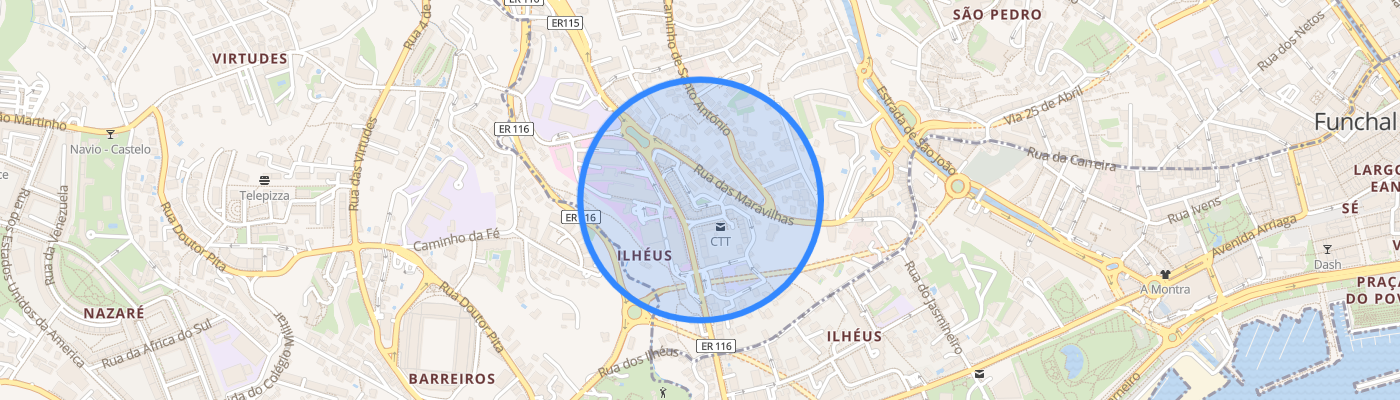 listing-map-picture