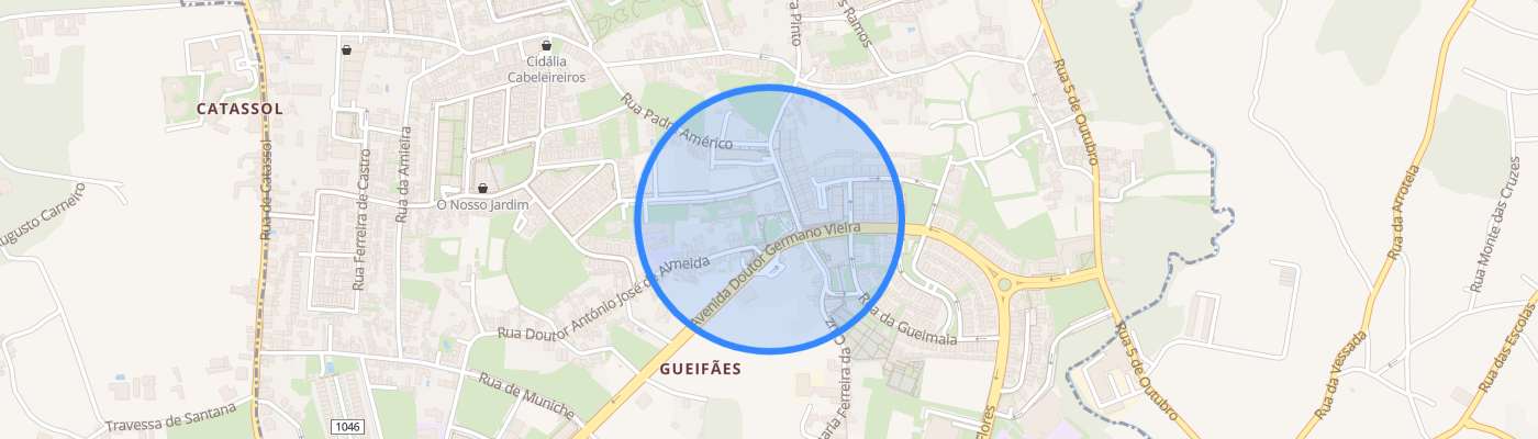 listing-map-picture