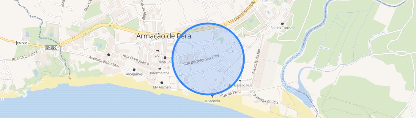 listing-map-picture