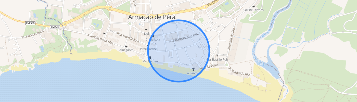 listing-map-picture