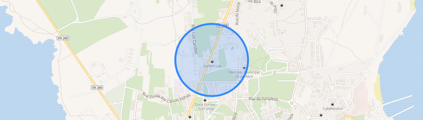 listing-map-picture