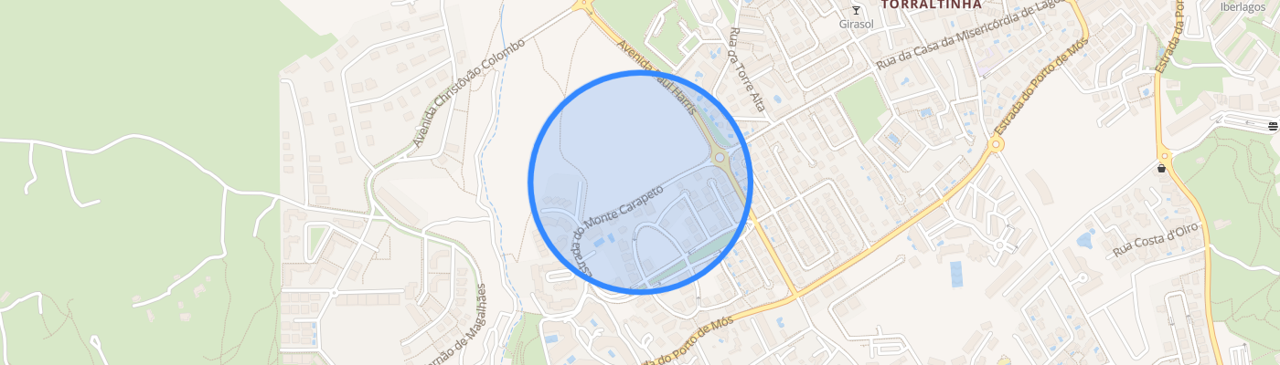 listing-map-picture