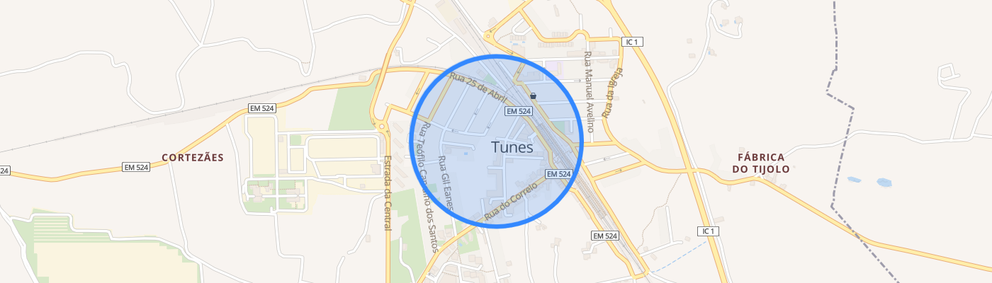 listing-map-picture