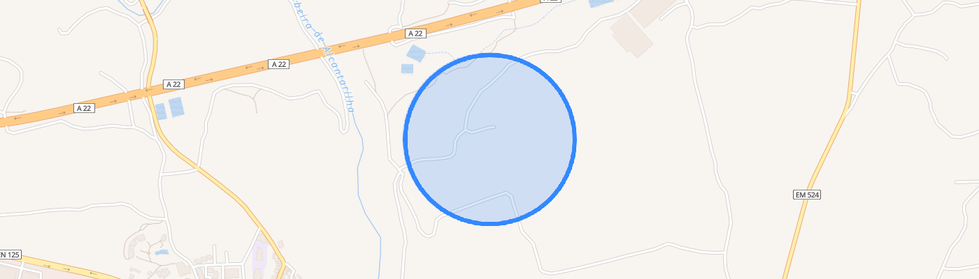 listing-map-picture