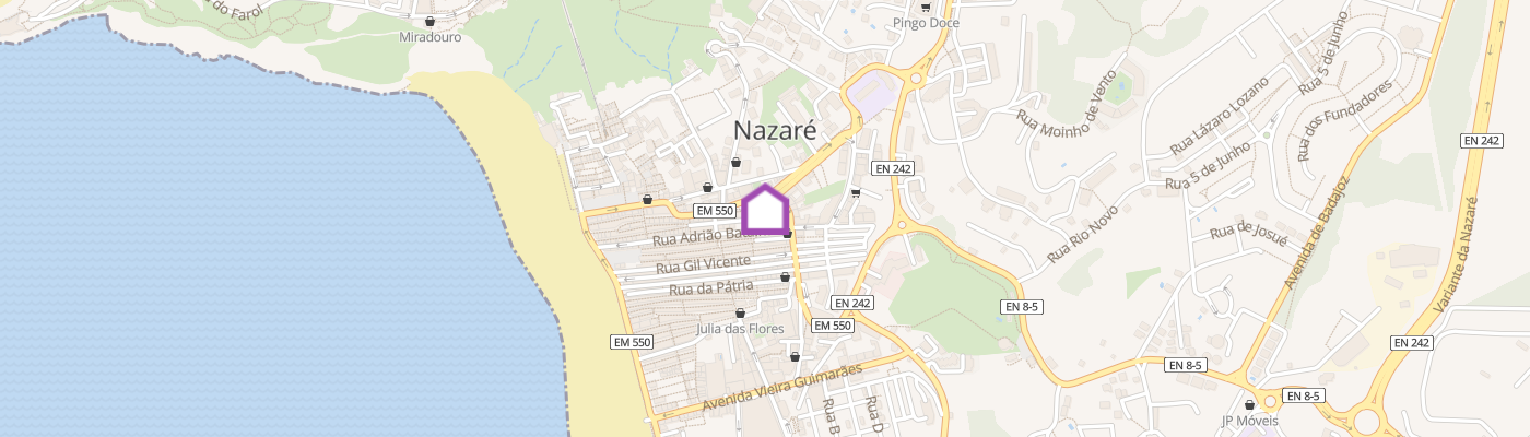listing-map-picture