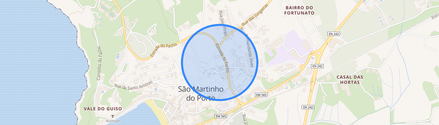 listing-map-picture