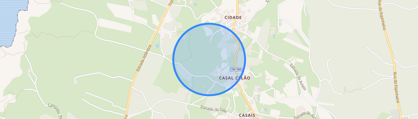 listing-map-picture