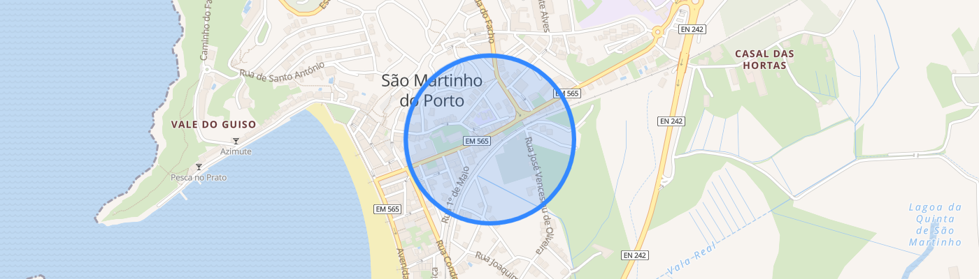 listing-map-picture