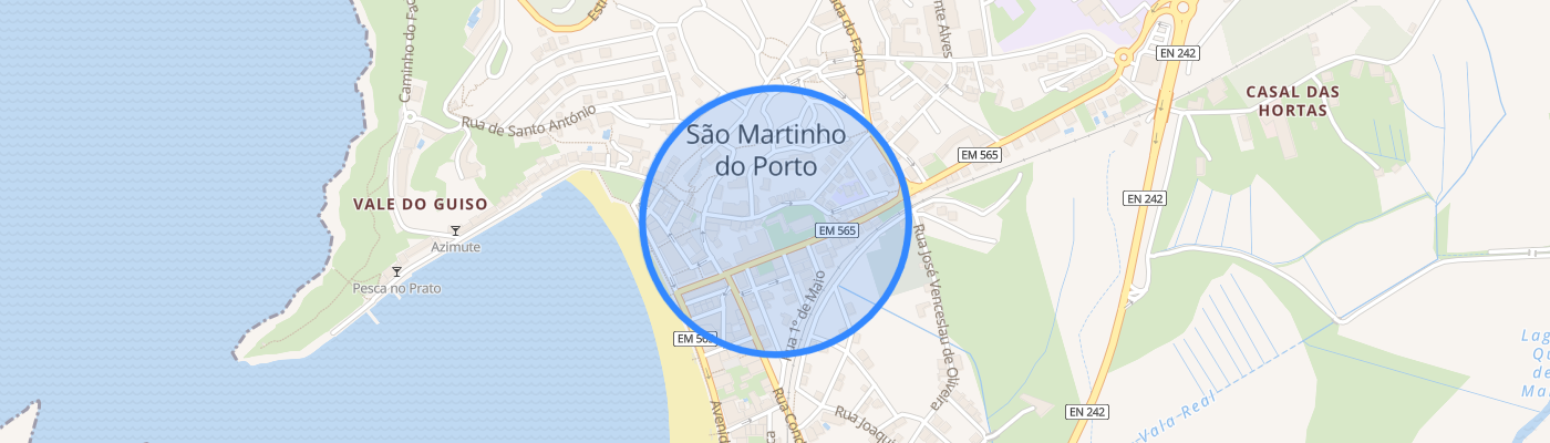 listing-map-picture
